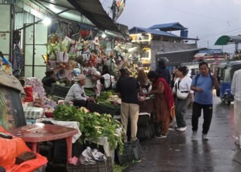 गर्मी छल्न भेडेटार आउने पर्यटकको कोसेली ‘अर्ग्यानिक तरकारी’
