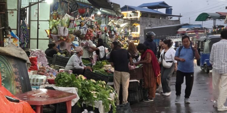 गर्मी छल्न भेडेटार आउने पर्यटकको कोसेली ‘अर्ग्यानिक तरकारी’