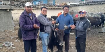 घरपझोङद्वारा किसानलाई अनुदानमा याक र नाक वितरण
