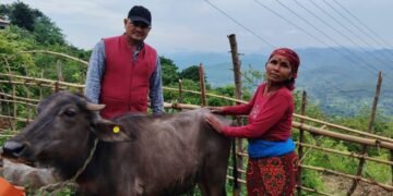 विपन्न परिवारलाई आयआर्जनसँग जोड्न पाडी वितरण