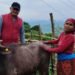 विपन्न परिवारलाई आयआर्जनसँग जोड्न पाडी वितरण
