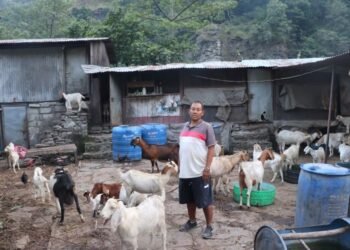 बाख्राले दिलाएको सम्मान र सन्तुष्टि