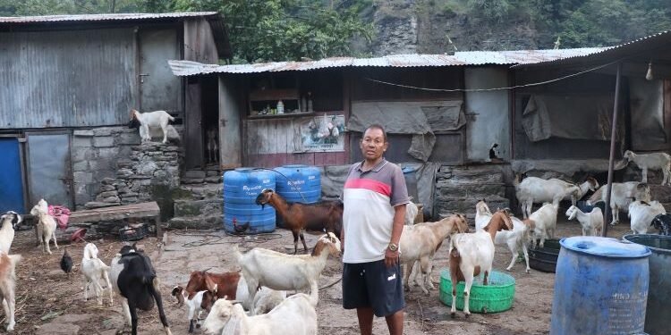 बाख्राले दिलाएको सम्मान र सन्तुष्टि