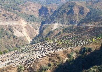 भुम्लुको लालपुर्जाविहीन समस्या अन्त्य गरिँदै