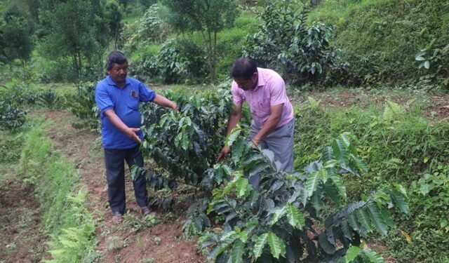 कफीखेती विस्तारमा षडानन्दको पहल