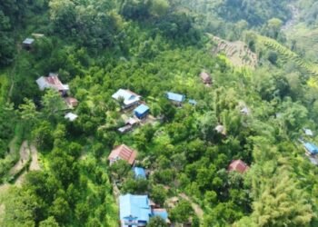 छिनामखुमा परम्परागत बालीको विकल्प बन्दै सुन्तला