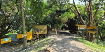 कोशी टप्पुमा पर्यटनको बढ्दो सम्भावना