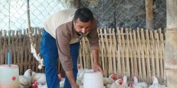 कुखुरापालन व्यवसायबाट यसरी आत्मनिर्भर बने इलामका महेन्द्र
