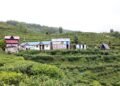 चियाबारीको हरियालीमा फक्रिँदै ल्वाङको पर्यटन