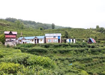 चियाबारीको हरियालीमा फक्रिँदै ल्वाङको पर्यटन