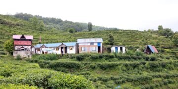 चियाबारीको हरियालीमा फक्रिँदै ल्वाङको पर्यटन
