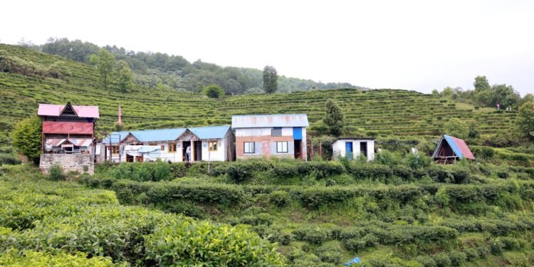 चियाबारीको हरियालीमा फक्रिँदै ल्वाङको पर्यटन