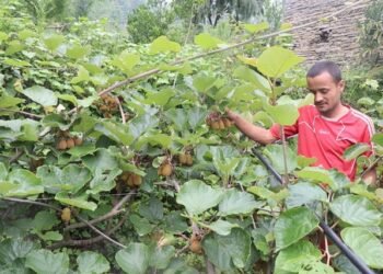 उत्पादन वृद्धि र लागत कम गर्न किसानलाई कृषिसामग्री