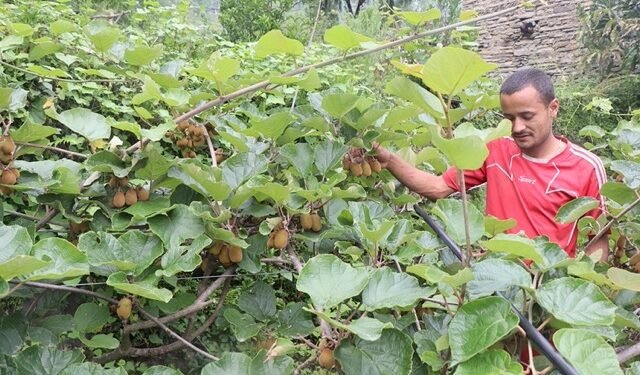उत्पादन वृद्धि र लागत कम गर्न किसानलाई कृषिसामग्री