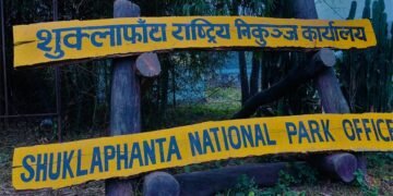 शुक्लाफाँटामा सुनौलो तोपचराको गणना सुरु