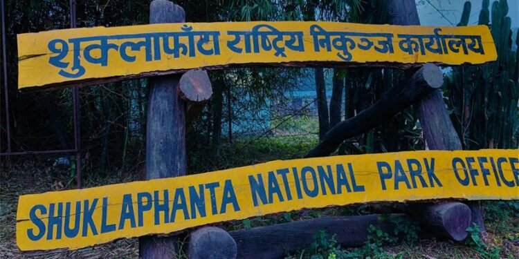 शुक्लाफाँटामा सुनौलो तोपचराको गणना सुरु