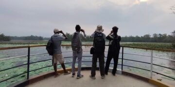 घोडाघोडी सिमसार क्षेत्रमा सूचक प्रजाति हरिहाँसको गणना सुरु