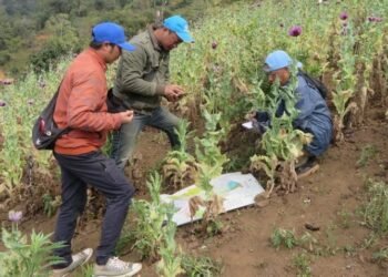 लागुऔषध दुरुपयोग तथा अवैध ओसारपसारविरुद्धको अन्तरराष्ट्रिय दिवस आज