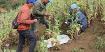 लागुऔषध दुरुपयोग तथा अवैध ओसारपसारविरुद्धको अन्तरराष्ट्रिय दिवस आज