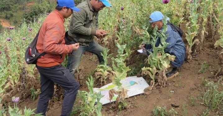 लागुऔषध दुरुपयोग तथा अवैध ओसारपसारविरुद्धको अन्तरराष्ट्रिय दिवस आज