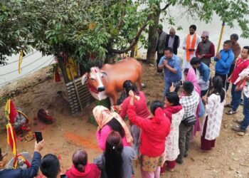 पञ्चकन्या मन्दिरमा गौमाता शिलामूर्ति अनावरण