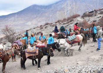 मुक्तिनाथमा ‘घोडचढी’ सेवाले जोगायो हिमाली संस्कृति