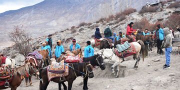 मुक्तिनाथमा ‘घोडचढी’ सेवाले जोगायो हिमाली संस्कृति