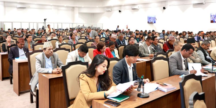 प्रतिनिधिसभा बैठक: सिमाना र द्विपक्षीय सम्बन्धका बारेमा संवेदनशील हुन आग्रह