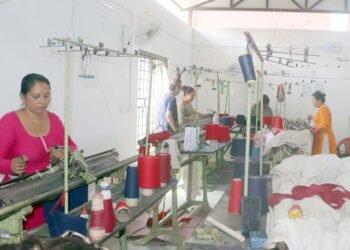 आत्मनिर्भर बन्न सीप सिक्दै पाल्पाका महिला