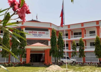 मधेस प्रदेशको विनियोजन विधेयकमाथि असार १७ देखि छलफल