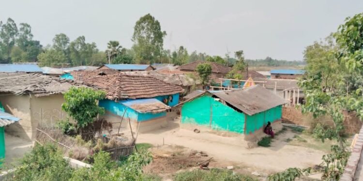 दशक अघि खुला दिसामुक्त घोषणा, मुसहर बस्ती अझै शौचालयविहीन