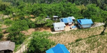 व्यावसायिक रुद्राक्ष खेतीबाट राम्रो आम्दानी गर्दै मैदानेका किसान