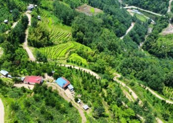 सिरदली–चौडेनी सडक स्तरोन्नति