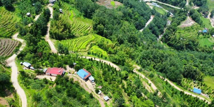 सिरदली–चौडेनी सडक स्तरोन्नति