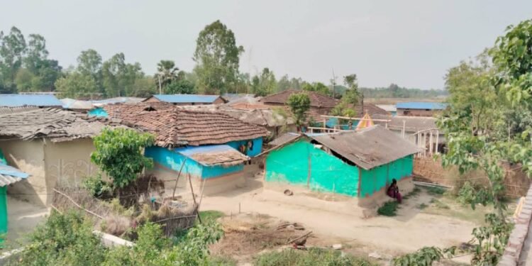 दशक अघि खुला दिसामुक्त घोषणा, मुसहर बस्ती अझै शौचालयविहीन