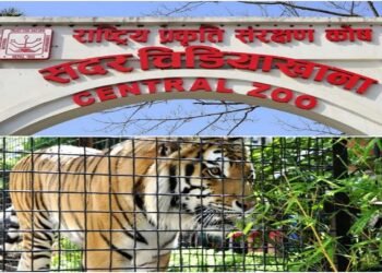 ‘बर्डफ्लु’ संक्रमण लुकाएको आरोपमा चिडियाखाना प्रमुख साह छानबिनमा