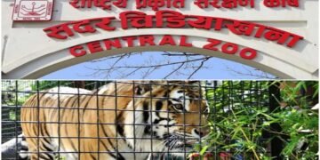 ‘बर्डफ्लु’ संक्रमण लुकाएको आरोपमा चिडियाखाना प्रमुख साह छानबिनमा