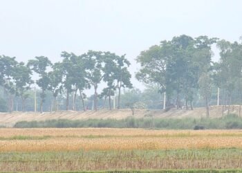 सीमा क्षेत्रको बाँध अग्लो बनाउँदा, गौर डुबानको जोखिममा