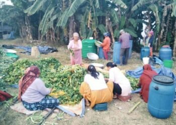 गुन्द्रुकले बदलेको ग्रामीण महिलाको जीवनस्तर