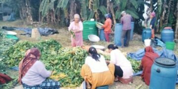 गुन्द्रुकले बदलेको ग्रामीण महिलाको जीवनस्तर