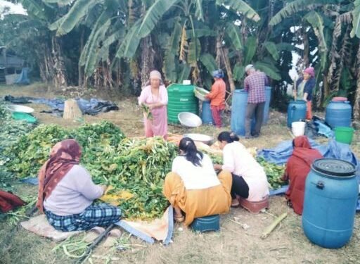 गुन्द्रुकले बदलेको ग्रामीण महिलाको जीवनस्तर