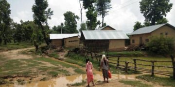 कमैया मुक्तिको २६ वर्ष : समस्या जहाँको त्यहीँ,पूर्जा छ,श्रेस्ता छैन