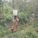 बागरमा खानेपानीको समस्या