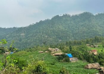 भौतिक विकासको पर्खाइमा पलगडी गाउँ