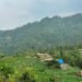 भौतिक विकासको पर्खाइमा पलगडी गाउँ