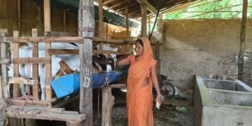 आलेखः बाख्रापालनले बदल्दै ग्रामीण महिलाको जीवन