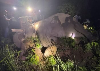 ‘ध्रुवे’लाई ‘रेडियो कलर’ जडान गरेर छाडियो