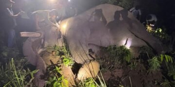 ‘ध्रुवे’लाई ‘रेडियो कलर’ जडान गरेर छाडियो