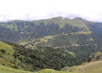 गर्मी छल्न पर्यटक रिग क्षेत्रमा