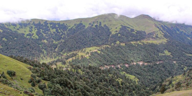 गर्मी छल्न पर्यटक रिग क्षेत्रमा